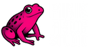 Pink Frog Studio