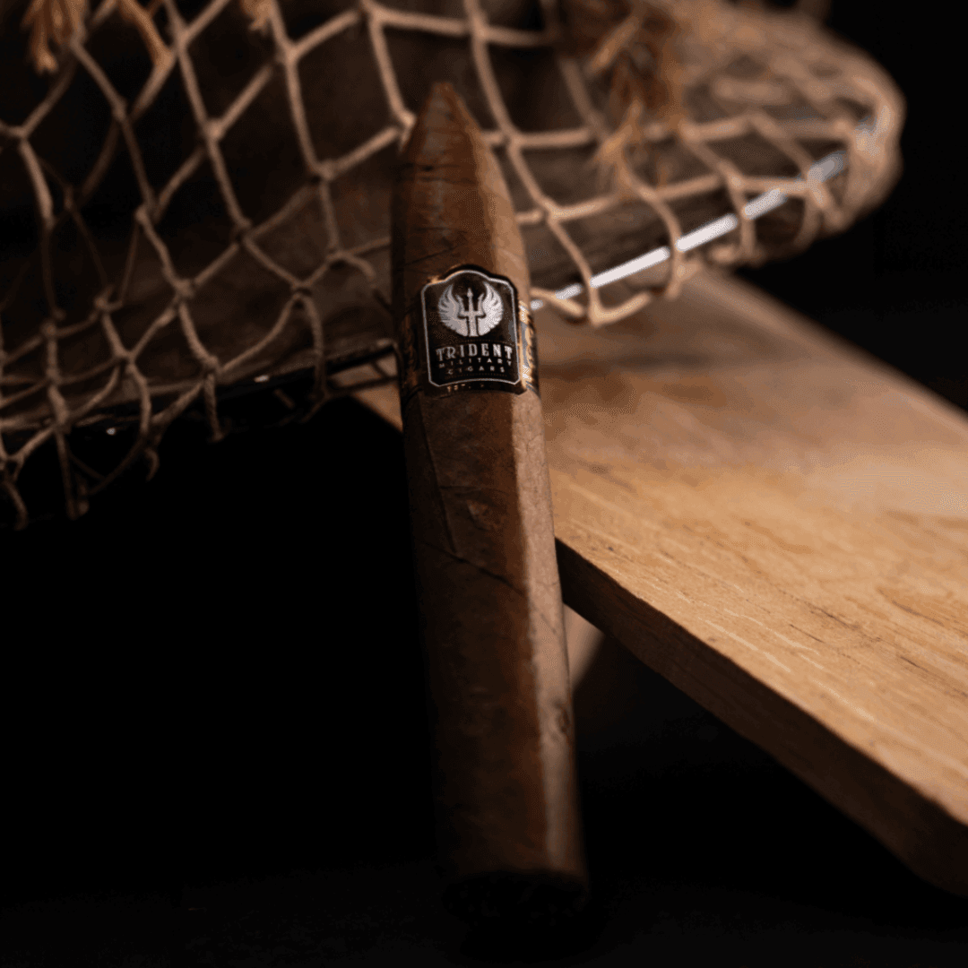 The Warspite - Image 2