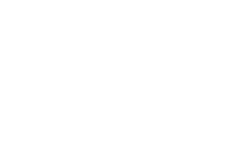 FIVE & 20's logo